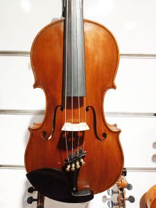 Professıonal Hand Made Vıolın THM003
