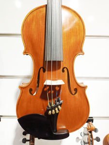 Professıonal Hand Made Vıolın THM004
