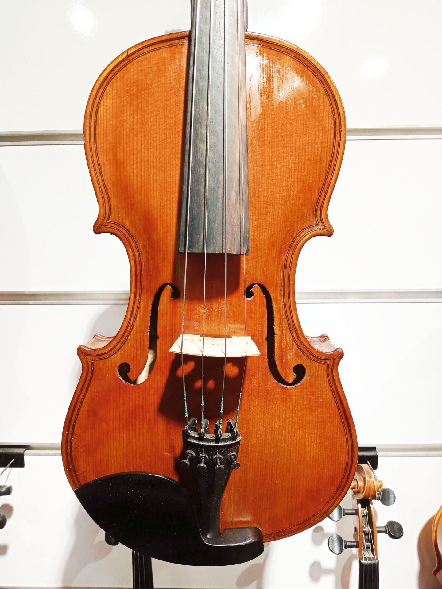 Professıonal Old Vıola 15.5 Inch THMV002