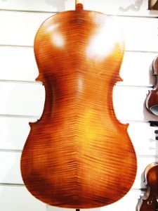 Tonal HDC01 4/4 Abanoz Aksamlı Çello