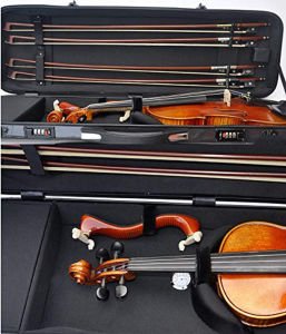 Tonal Carbon Fıber Oblong Viola Case
