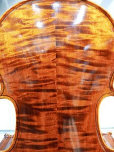 HDVA51 Solıd Flame Maple Viola