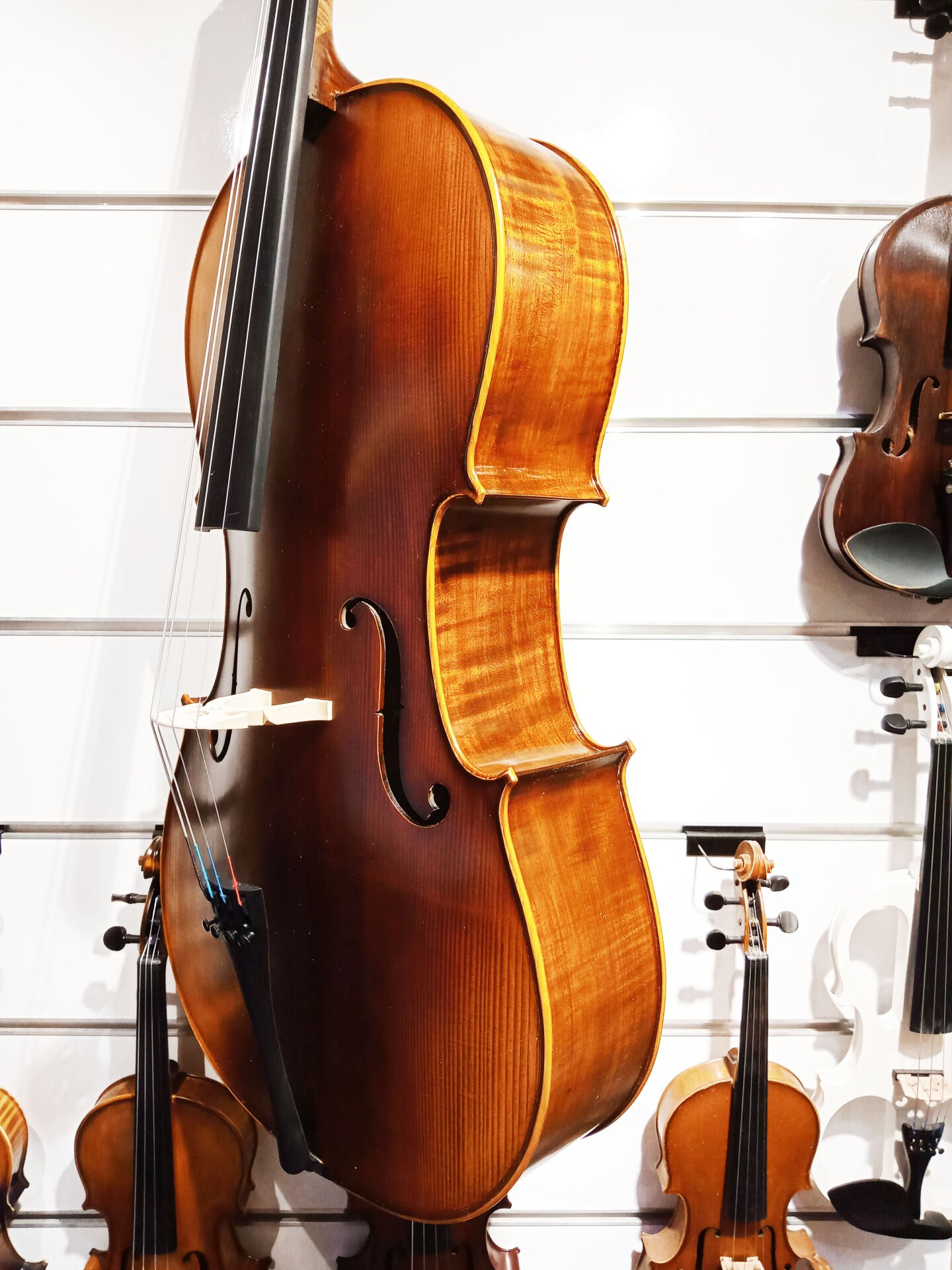 Tonal HDC41 Masif Yüksek Kalite Çello