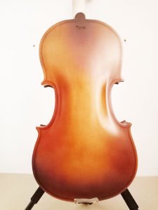 Tonal  HDV01 1/8 Öğrenci Başlangıç Kemanı